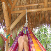 Tiki Hut Hammock Tiki Hut Hammock